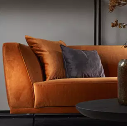 Toon producten in categorie Moss Afbeelding voor categorie Moss